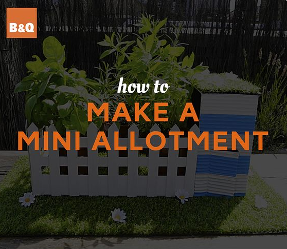 VIDEO: How To Make A Mini Allotment