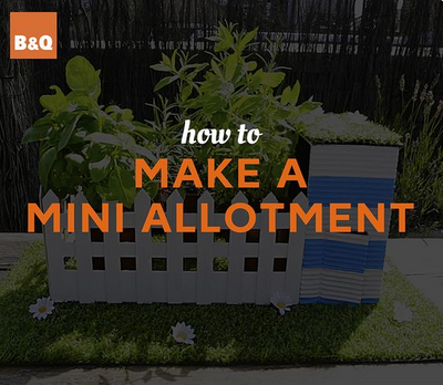 VIDEO: How To Make A Mini Allotment
