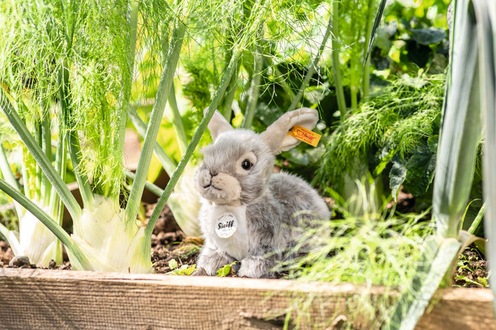 Steiff Originals - Dormili Rabbit (21cm)