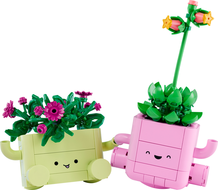 Botanicals - Rocking Plants