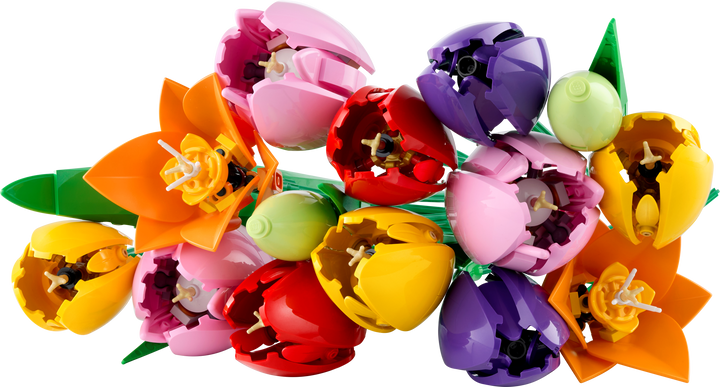 Botanicals - Tulip Bouquet