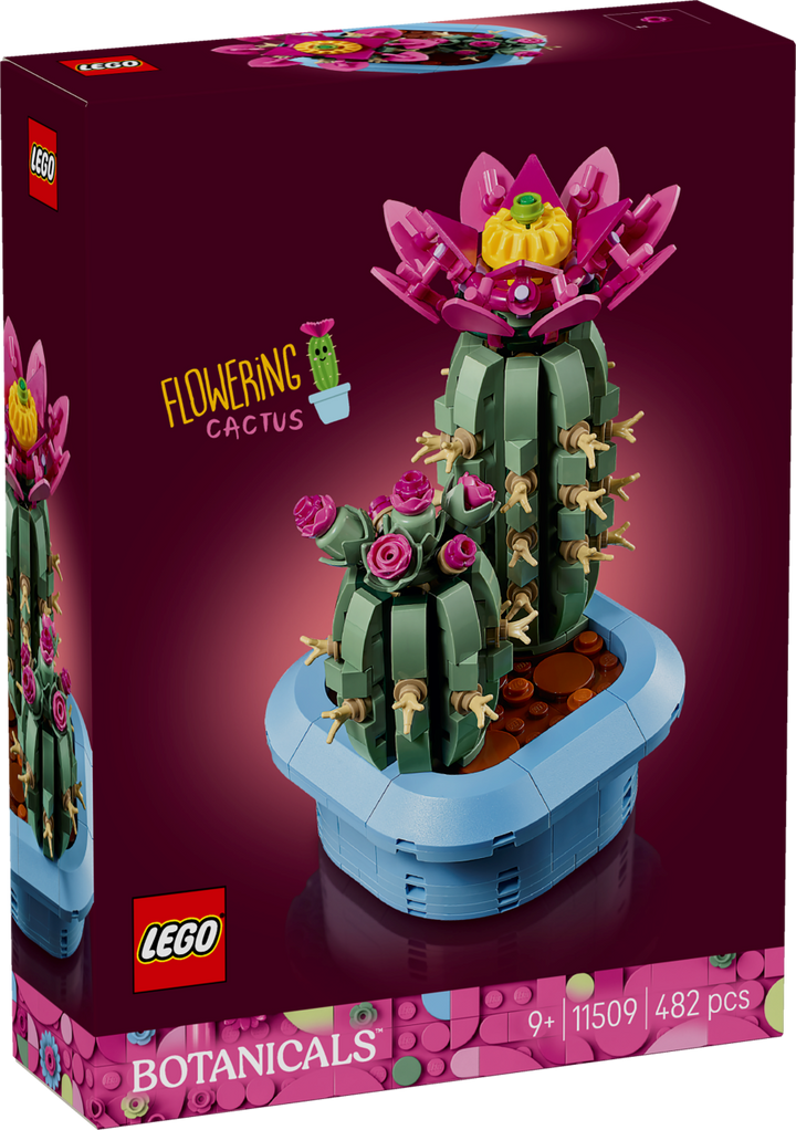 Botanicals - Flowering Cactus