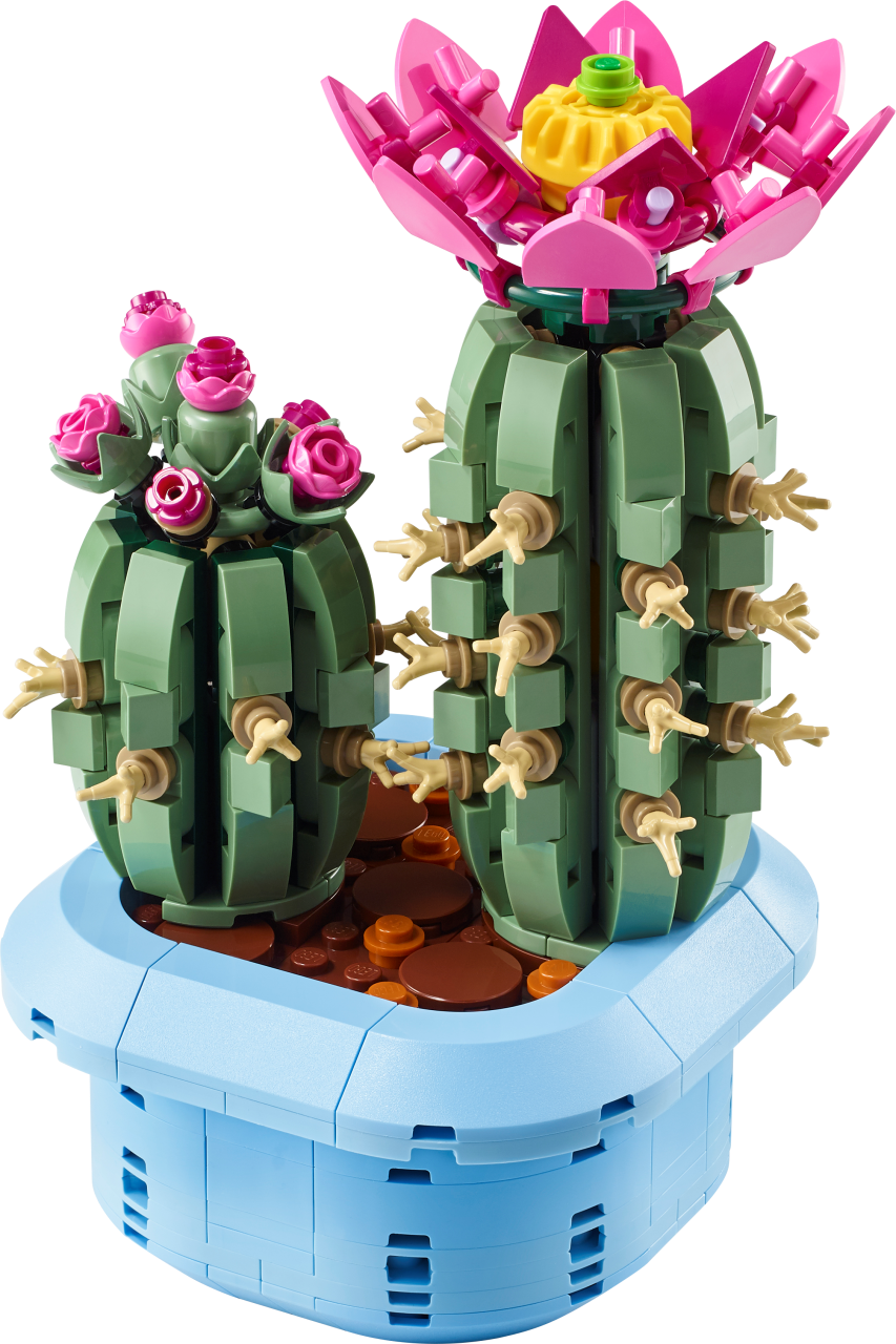 Botanicals - Flowering Cactus