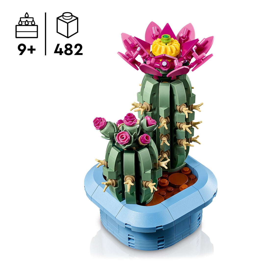 Botanicals - Flowering Cactus