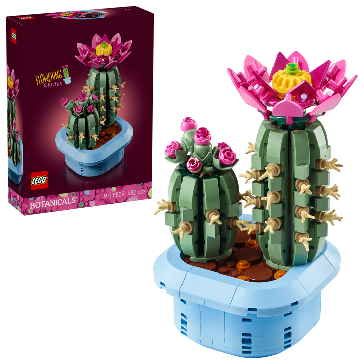 Botanicals - Flowering Cactus