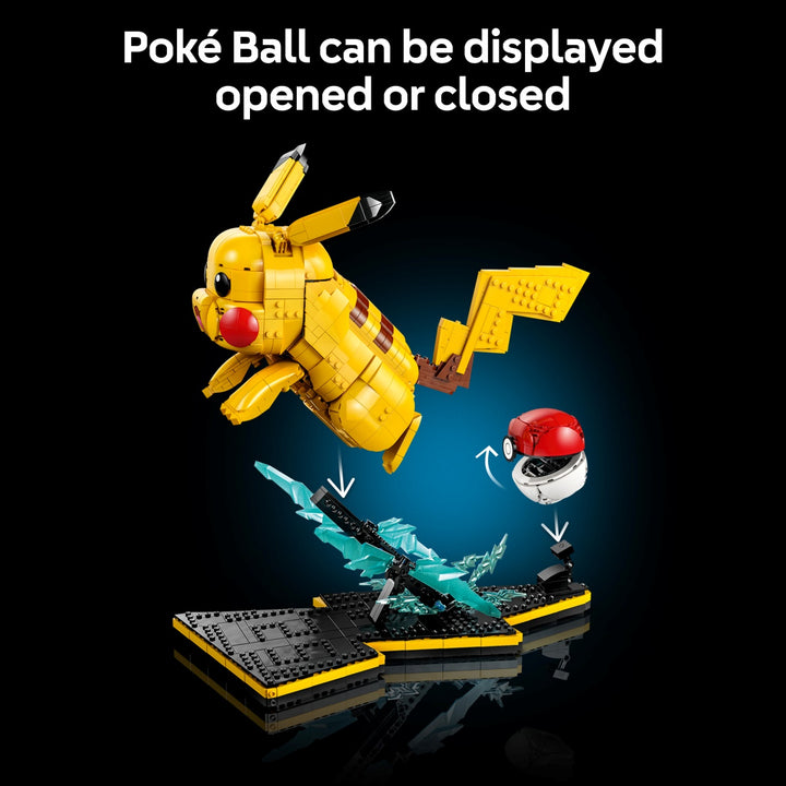 Pokémon -  Pikachu and Poké Ball