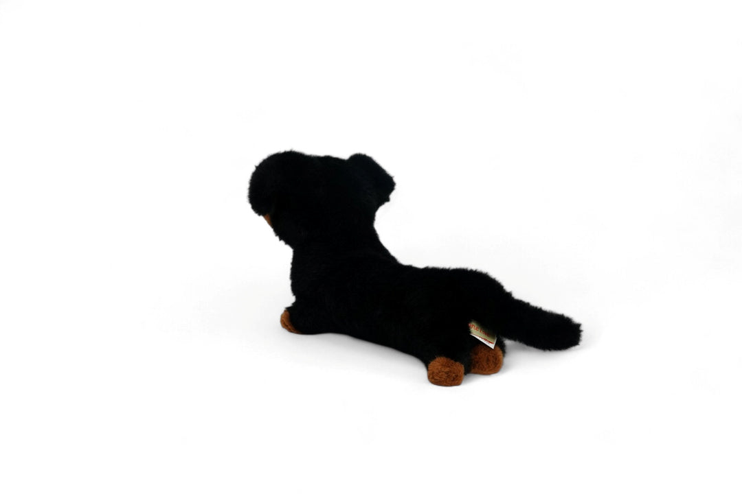 One Love Soft Toy - Pumpkin the Dachshund