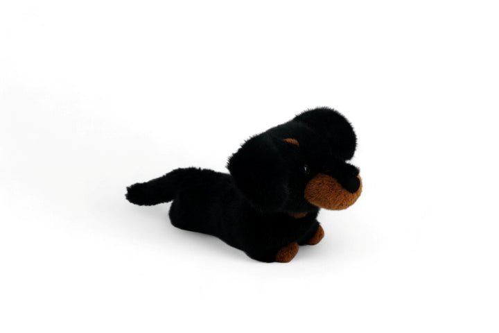 One Love Soft Toy - Pumpkin the Dachshund