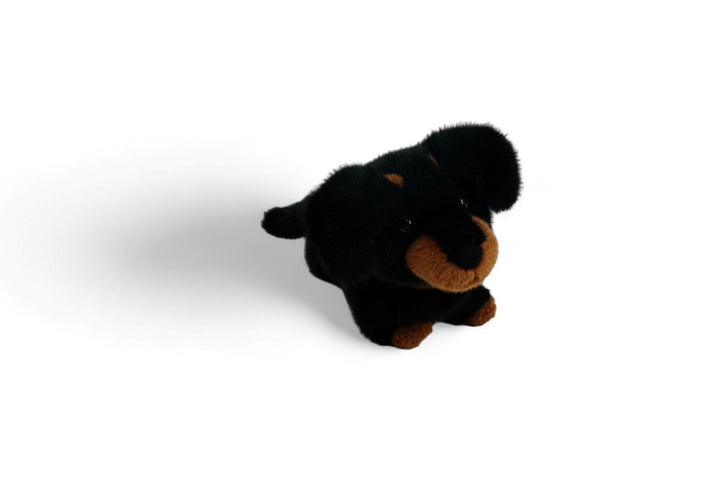 One Love Soft Toy - Pumpkin the Dachshund