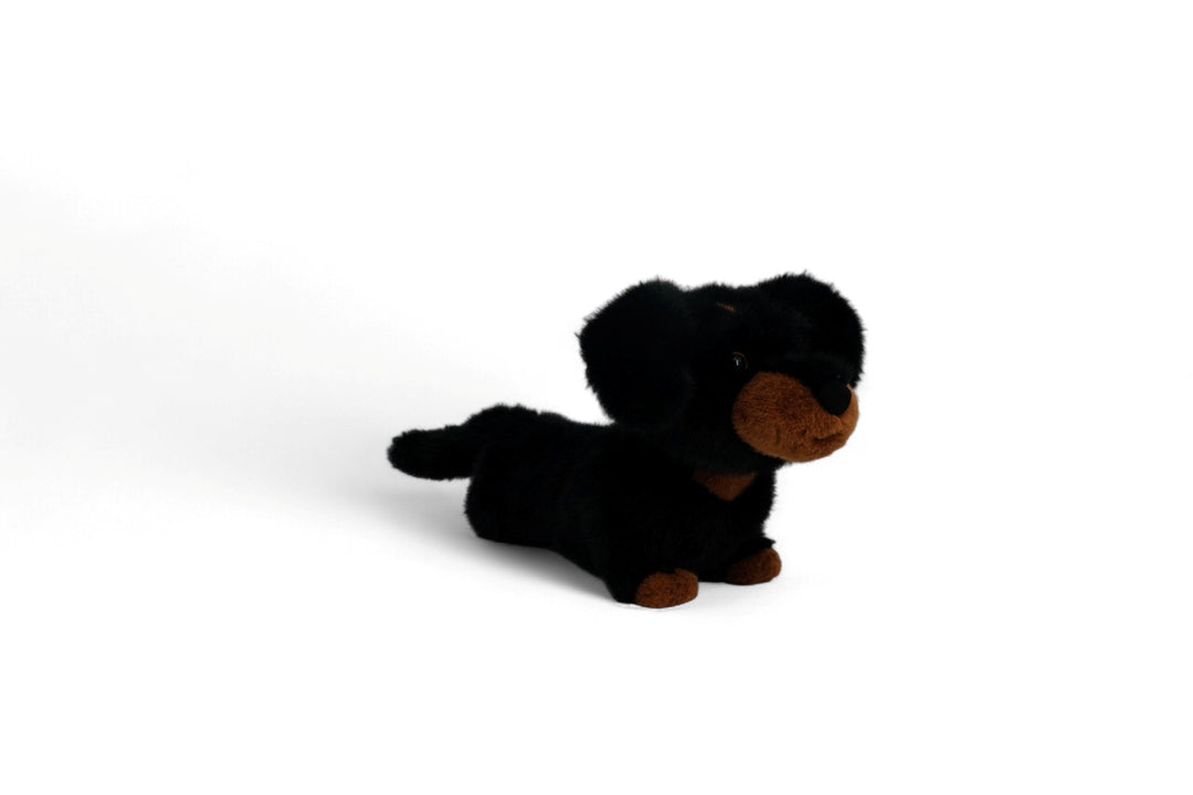 One Love Soft Toy - Pumpkin the Dachshund
