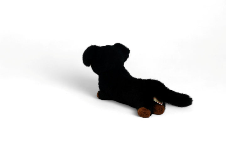 One Love Soft Toy - Pumpkin the Dachshund