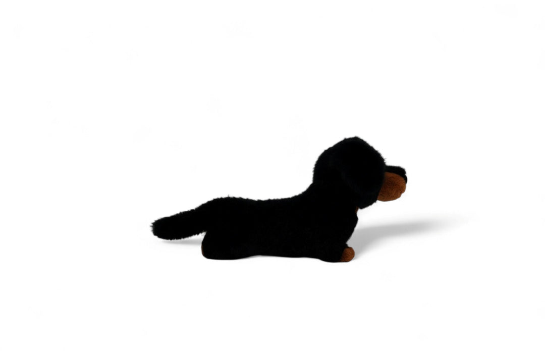 One Love Soft Toy - Pumpkin the Dachshund