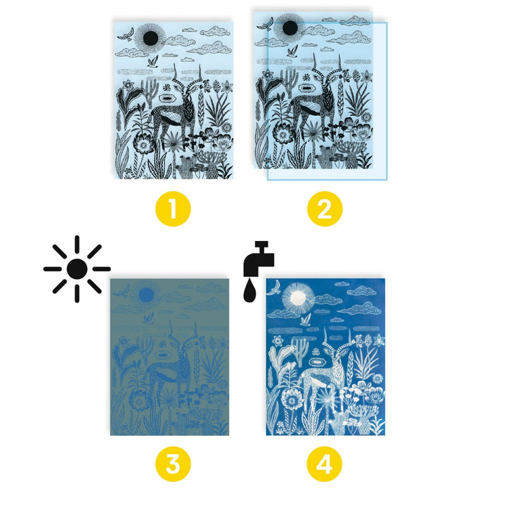 Djeco Cyanotypes - Night-time in the Savannah