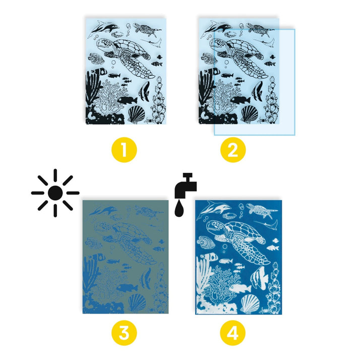 Djeco Cyanotypes - Ultramarine