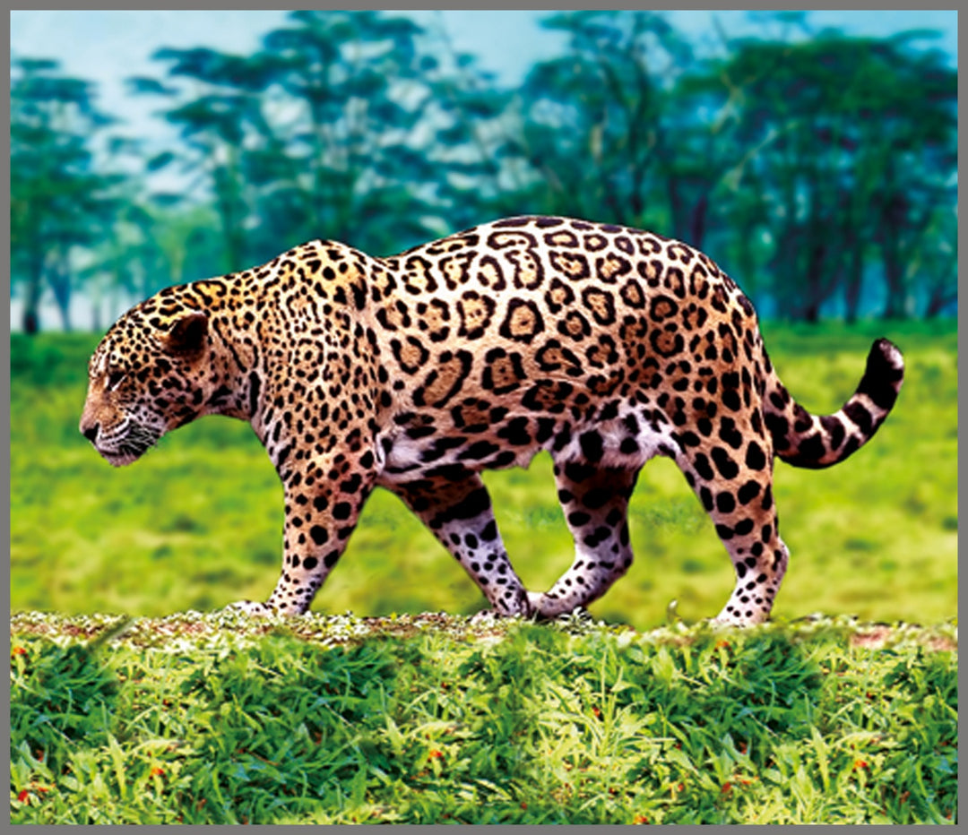 Projector Torch - Animals