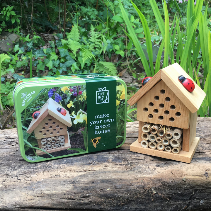 Gift in a Tin - Make Your Own Insect Home