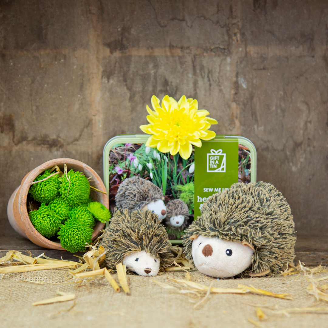 Gift in a Tin - Sew Me Up Hedgehog and Hoglet