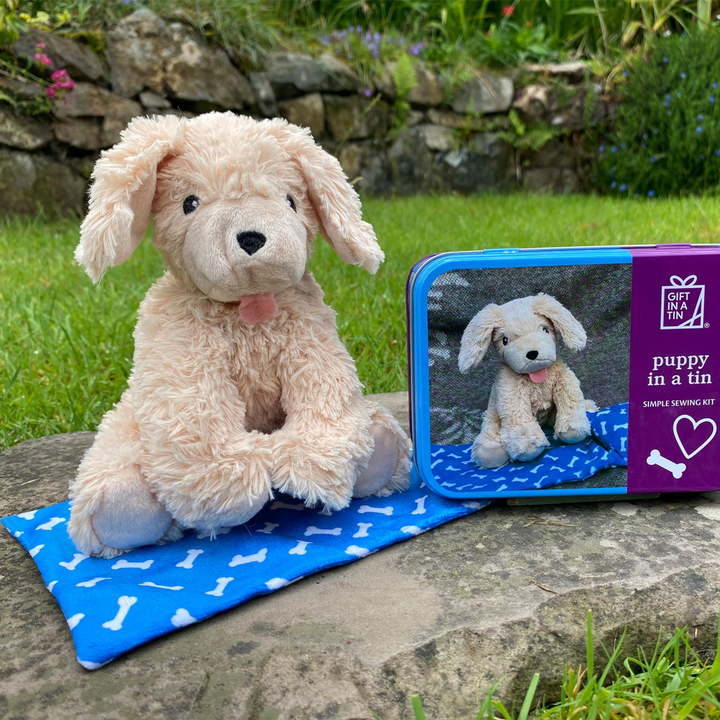 Gift in a Tin - Puppy in a Tin