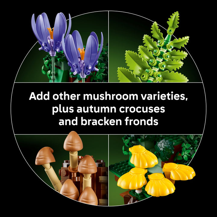Botanicals - Woodland Mushrooms