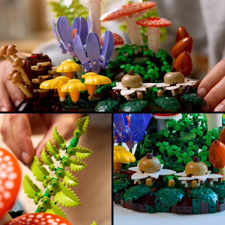 Botanicals - Woodland Mushrooms