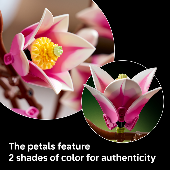 Botanicals - Magnolia Branches