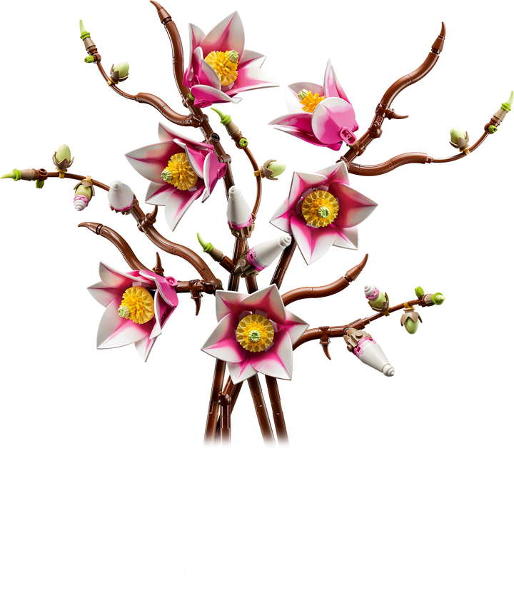 Botanicals - Magnolia Branches