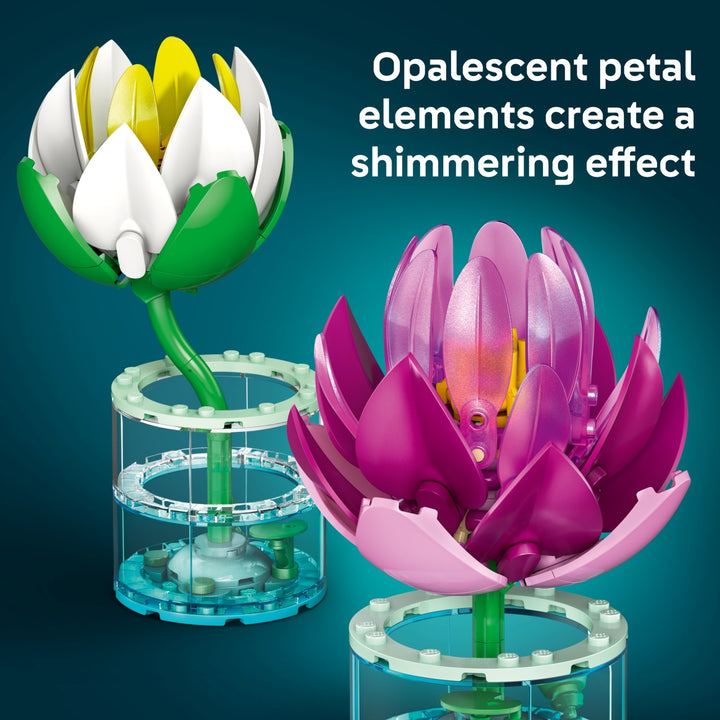 Botanicals - Water Lilies