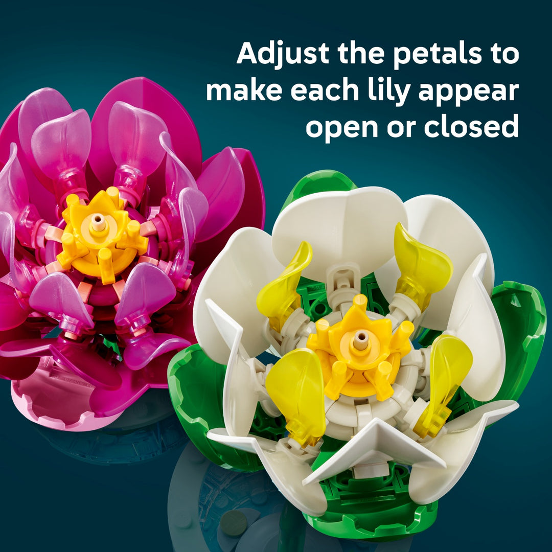 Botanicals - Water Lilies