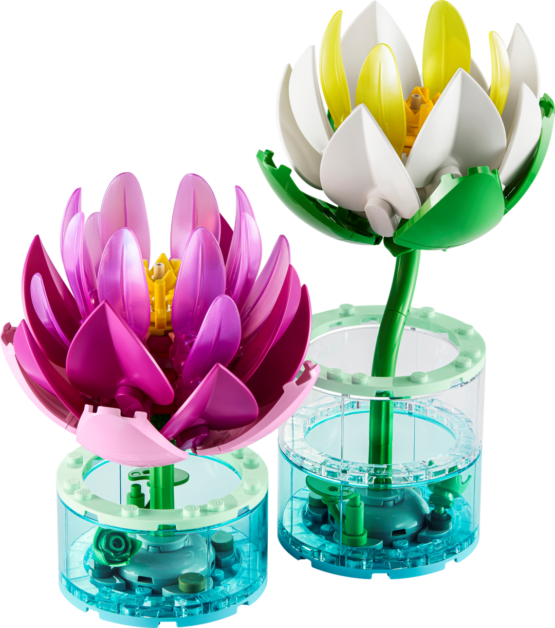 Botanicals - Water Lilies
