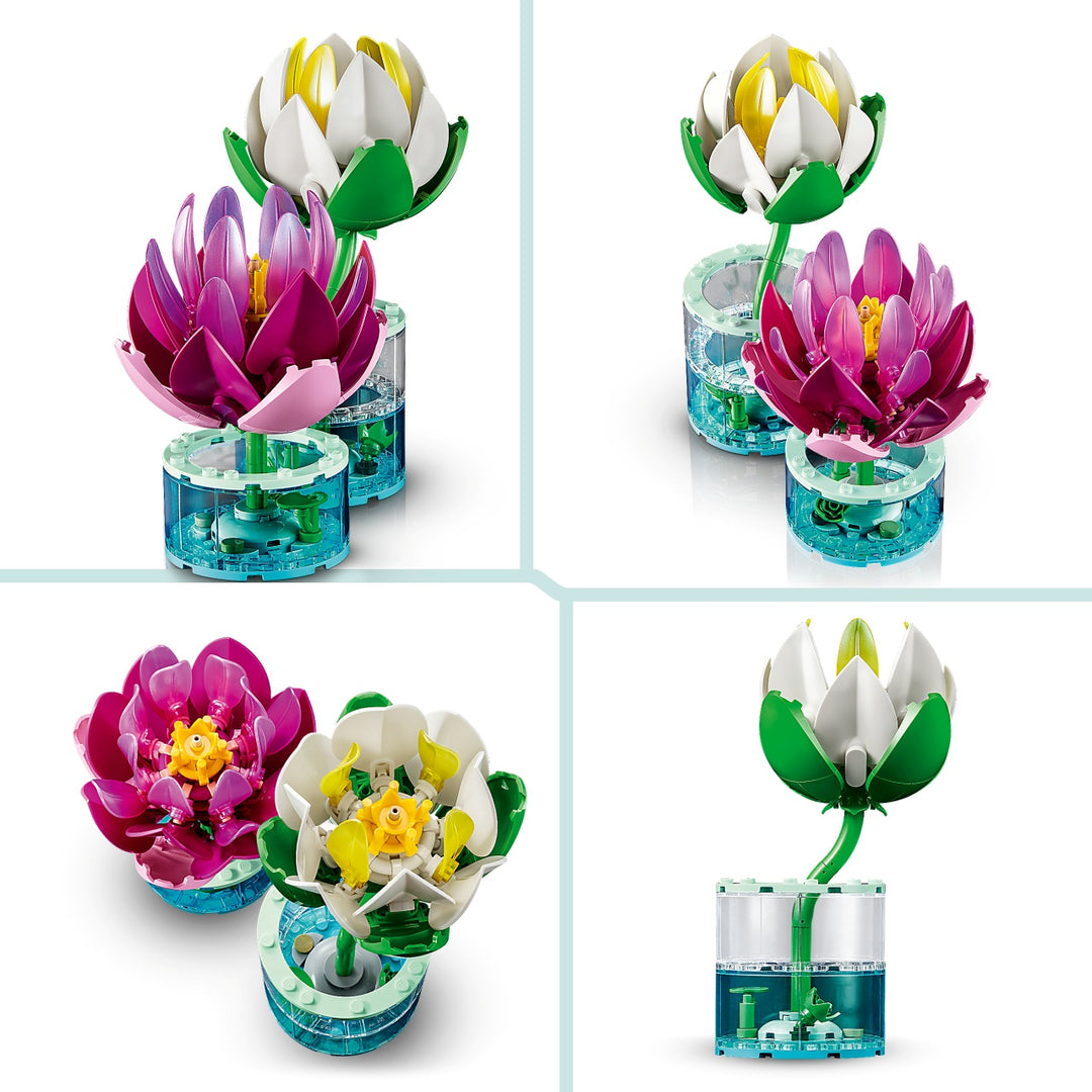 Botanicals - Water Lilies
