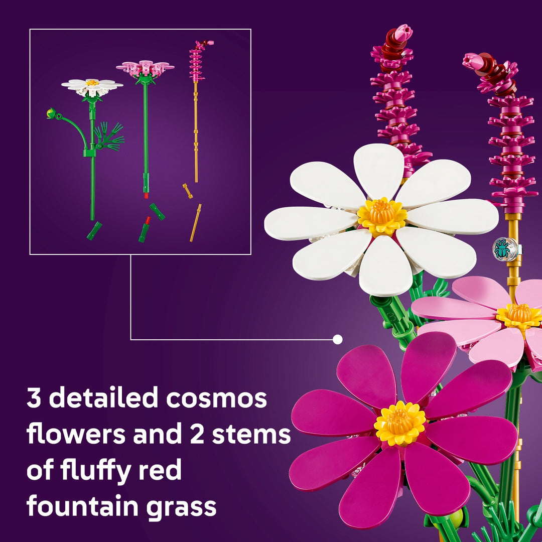 Botanicals - Cosmos Flowers