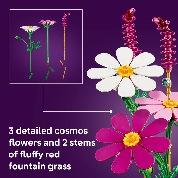 Botanicals - Cosmos Flowers