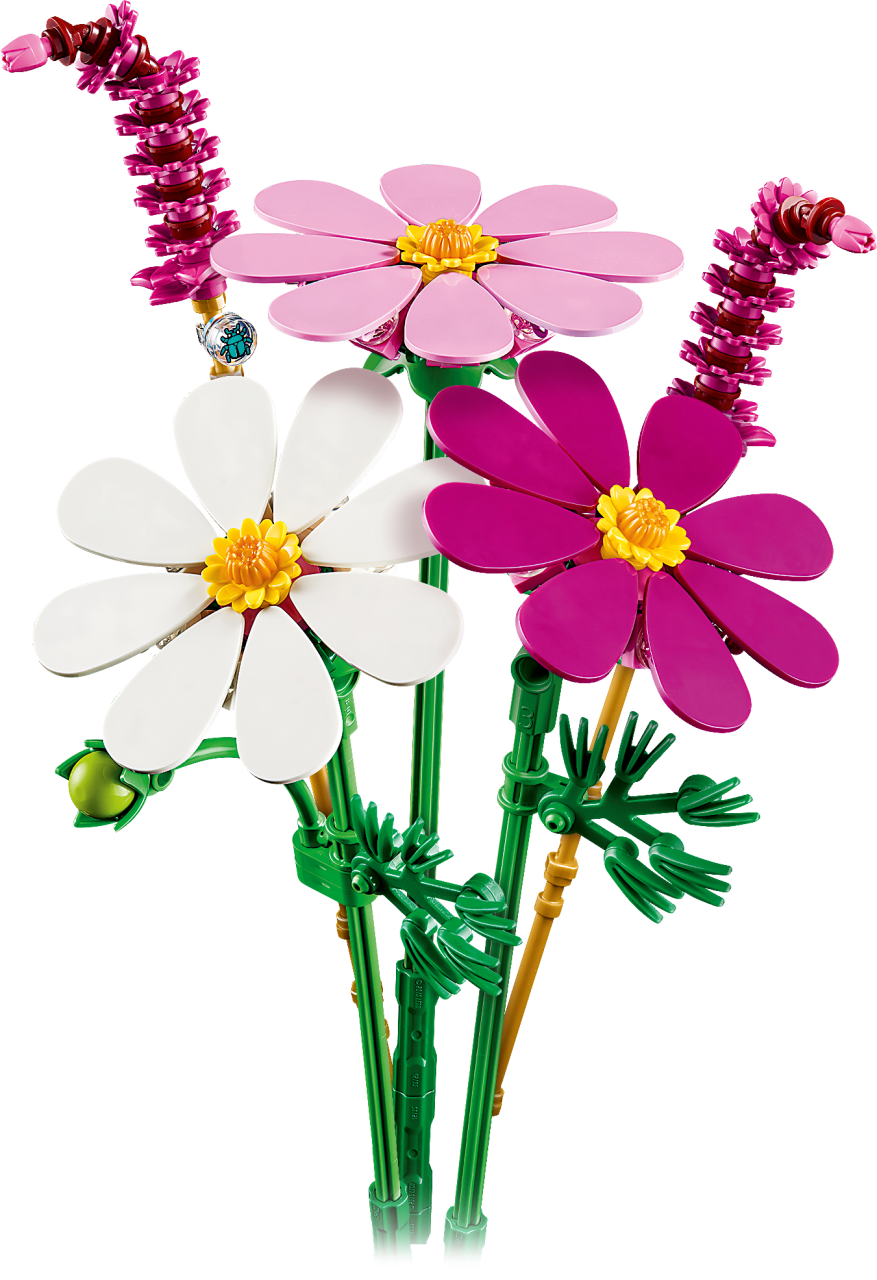 Botanicals - Cosmos Flowers