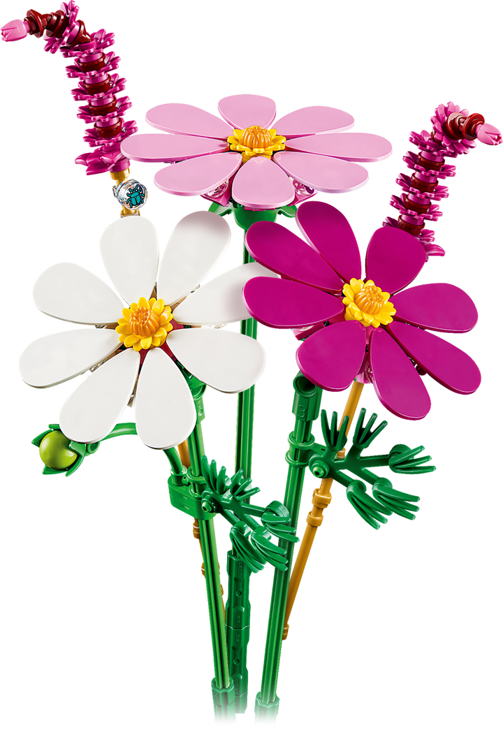 Botanicals - Cosmos Flowers