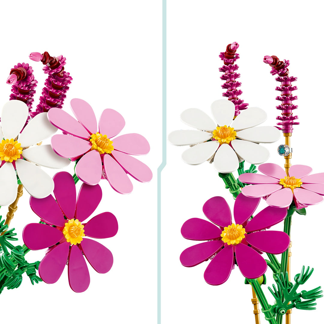 Botanicals - Cosmos Flowers
