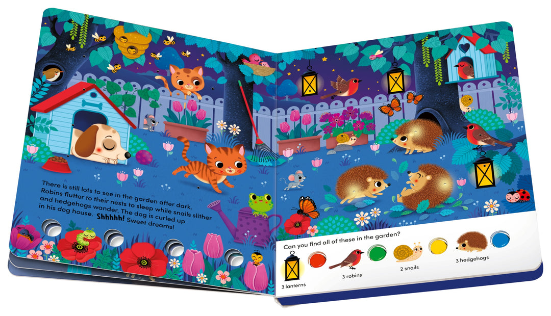 Play+ Search and Shine Board Book - In the Night