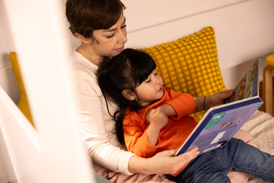 Play+ Search and Shine Board Book - In the Night
