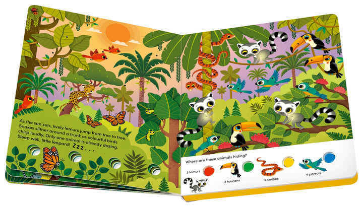 Play+ Search and Shine Board Book - In the Jungle