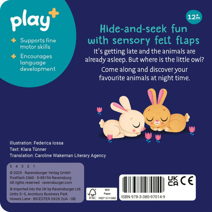 Play+ Lift-the-Flap Book - Are you hiding Little Owl ?