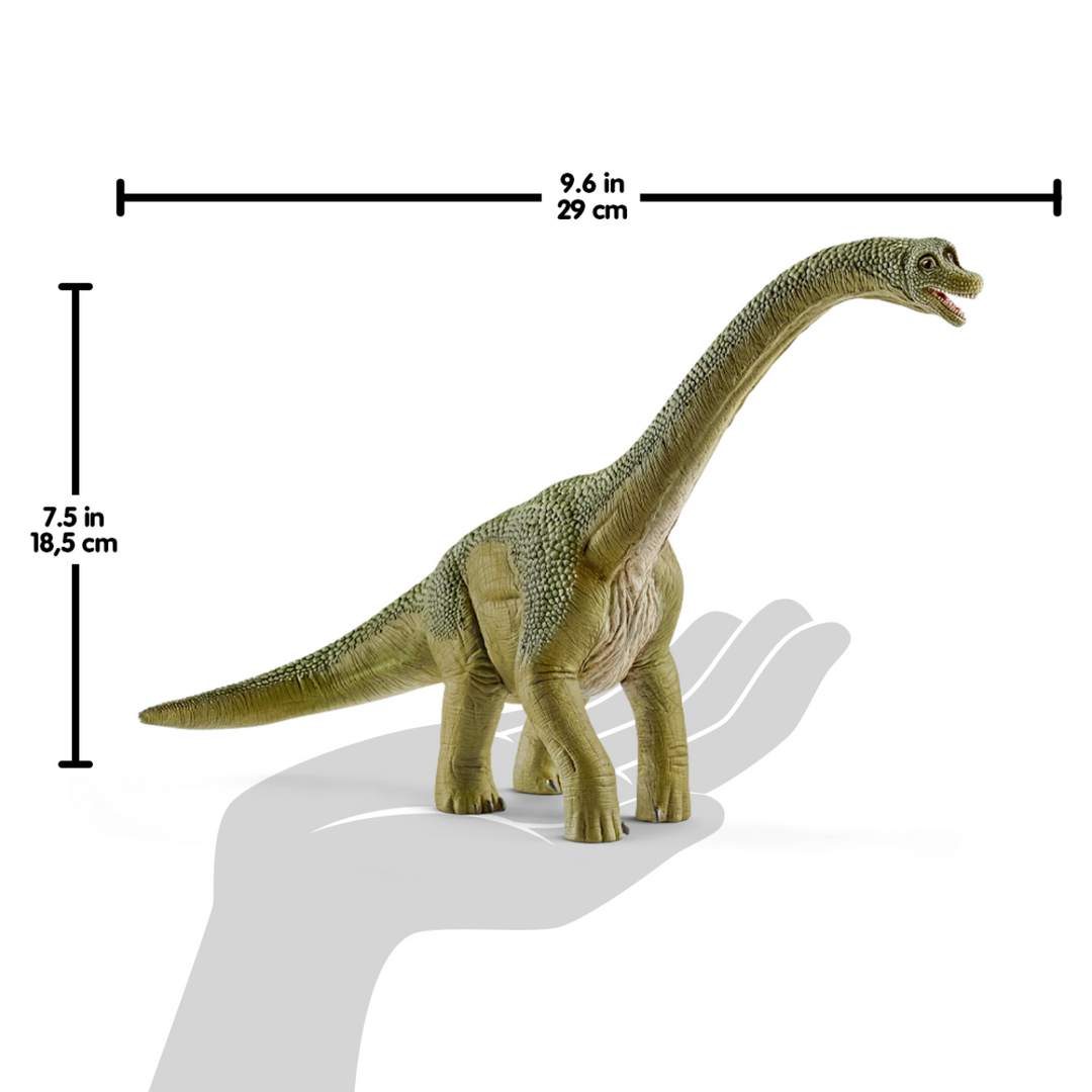Schleich Dinosaurs - Brachiosaurus 14581