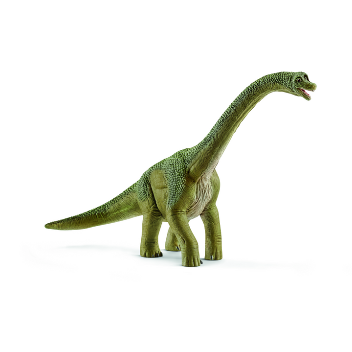 Schleich Dinosaurs - Brachiosaurus 14581