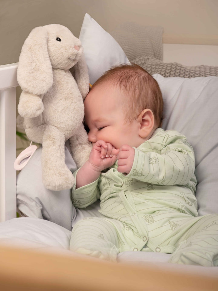 Steiff My First Hoppie Rabbit (26cm) Music Box