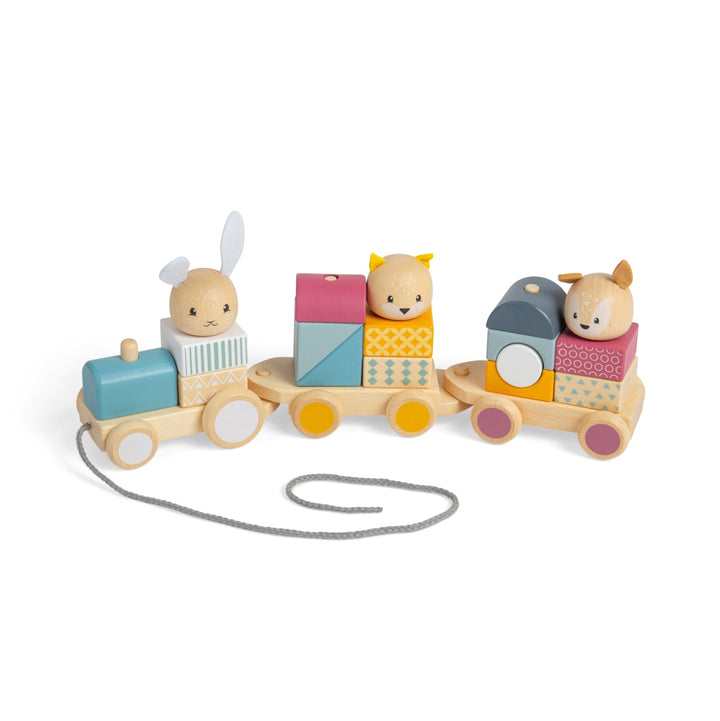 Bigjigs Activity Pull Along Train