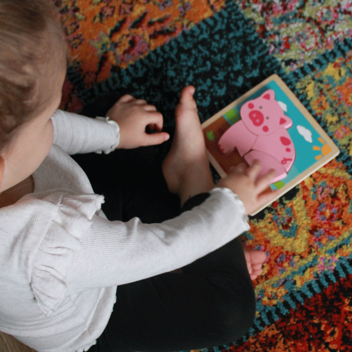 Bigjigs Chunky Lift Out Puzzle - Pig