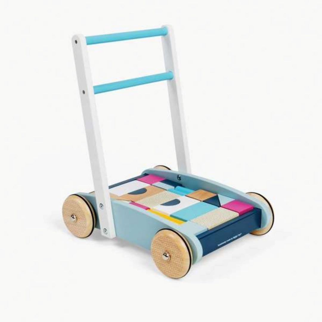 Bigjigs Baby Walker Trolley and Blocks