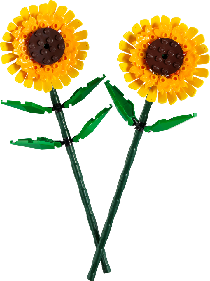 Botanicals - Sunflowers