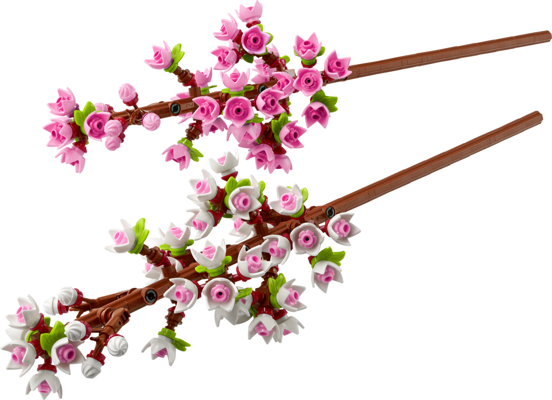 Botanicals - Cherry Blossoms