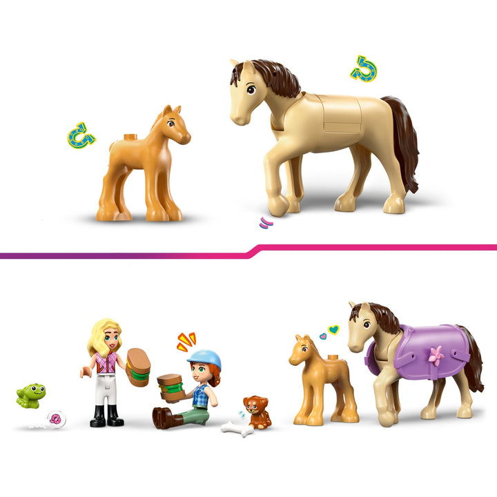 Friends - Horse &amp; Baby Foal Trailer