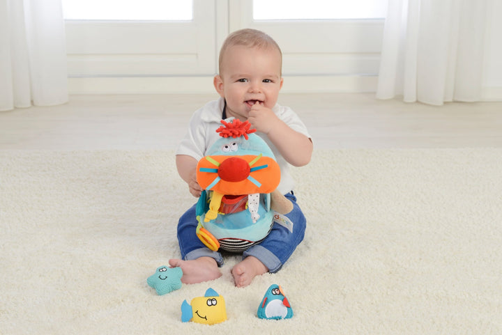 Dolce Walrus Sorter