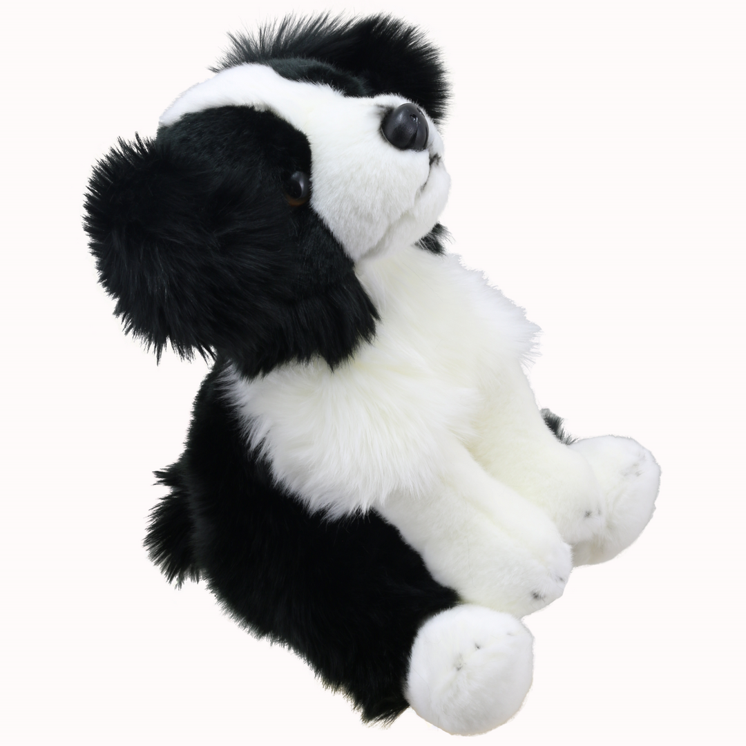 Wilberry Favourites - Border Collie Dog
